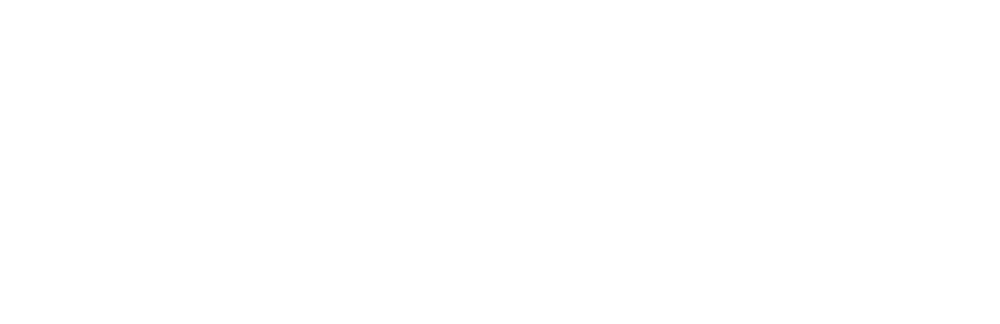 Visa icon